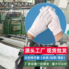 AS-24公司礼仪服务 专业与温度并存的卓越体验